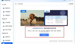 提取视频字幕,探寻故事背后的精彩瞬间